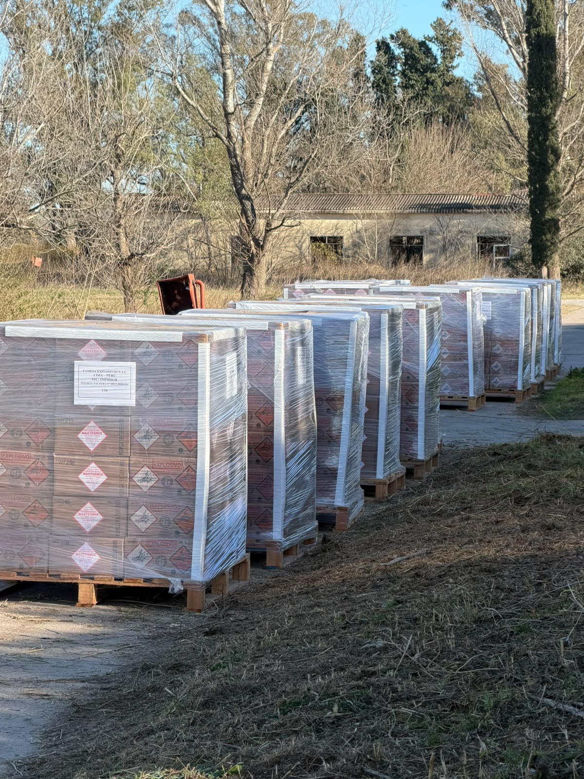 Exportación de Mastermix — foto 2